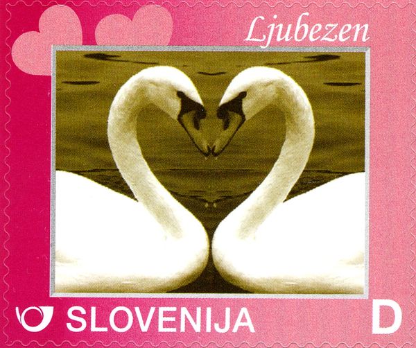 Two Swans