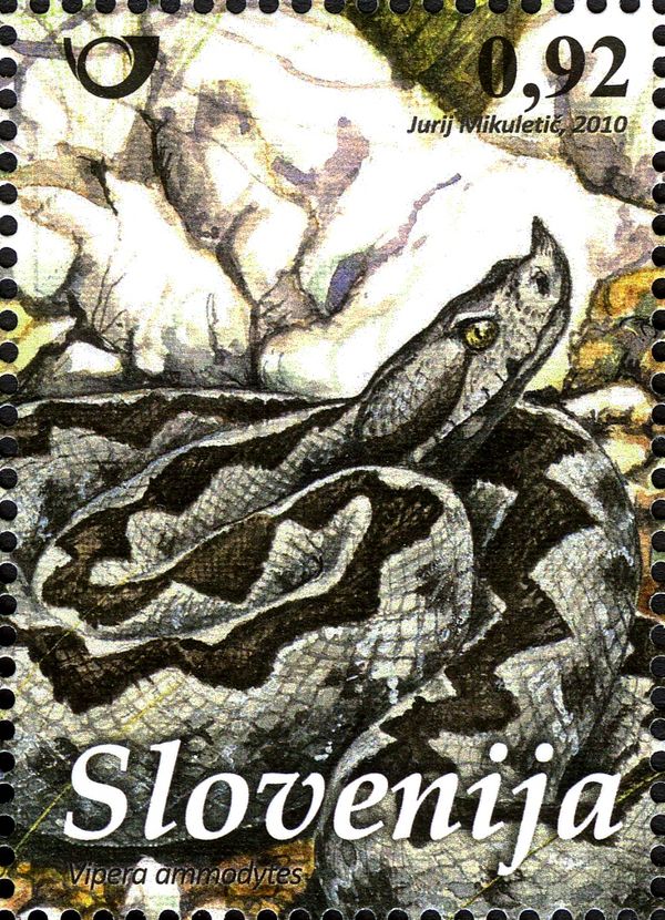 Horned Viper (Vipera ammodytes)
