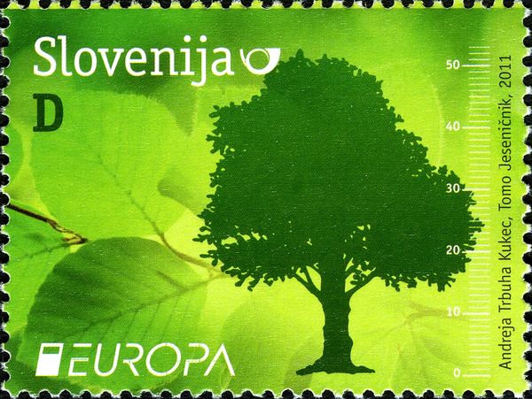 EUROPA 2011 - Forests - Beech tree