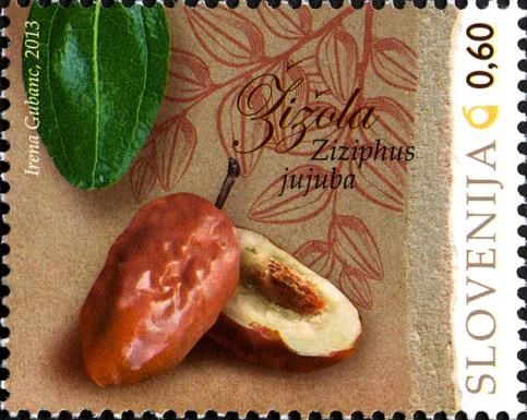 Ziziphus jujuba