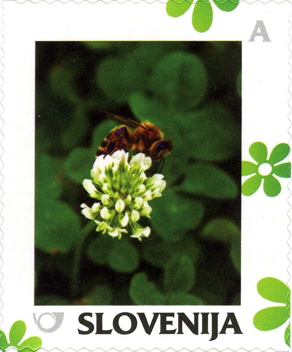 Spring: Bee on clover