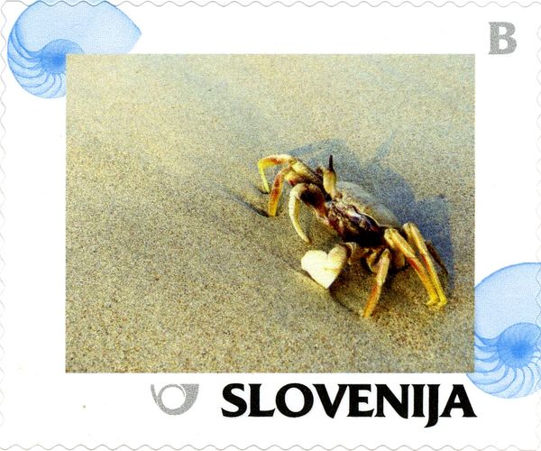 Summer: Crab