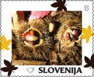 Autumn: Chestnuts