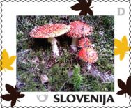 Autumn: Toadstools