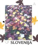 Autumn: Leaves