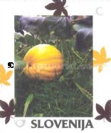 Autumn: Pumpkin