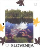 Autumn: Lake in autumn