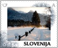 Winter: Snowy landscape