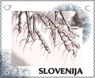Winter: Ice-glazed tree
