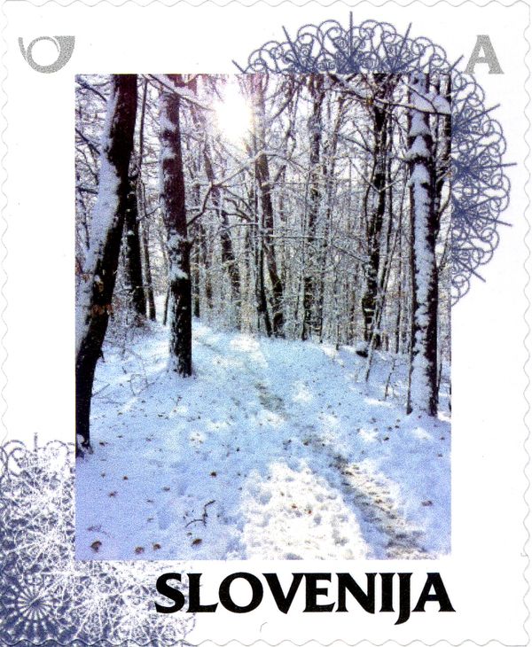 Winter: Trees in winter