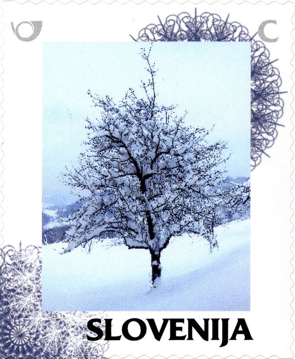 Winter: Winter tree