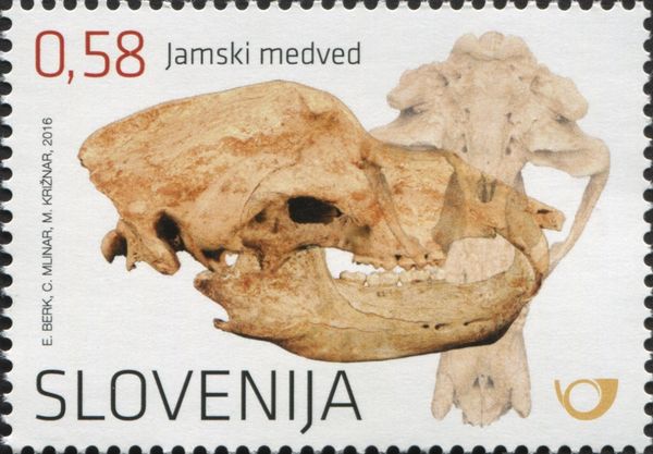 Cave Bear