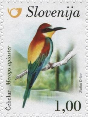 European bee-eater (Merops apiaster)