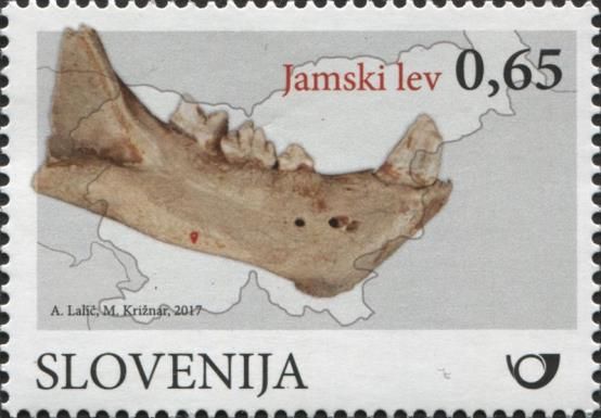The cave lion (Panthera leo spelaea)