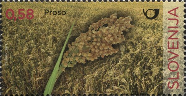 Millet