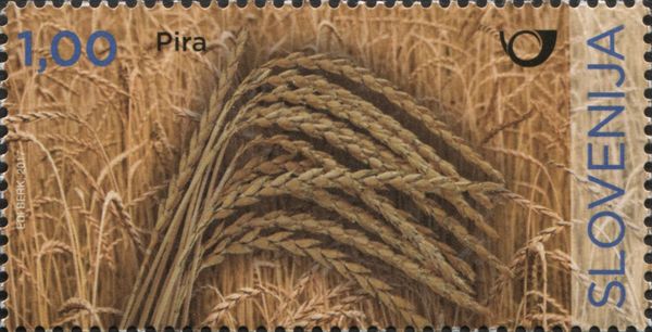 Spelt