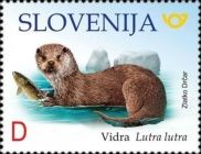 Otter (Lutra lutra)