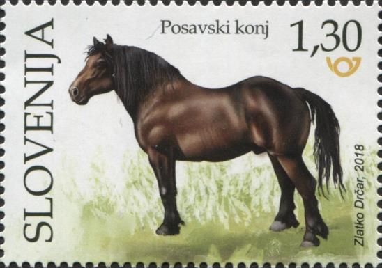 Posavina Horse