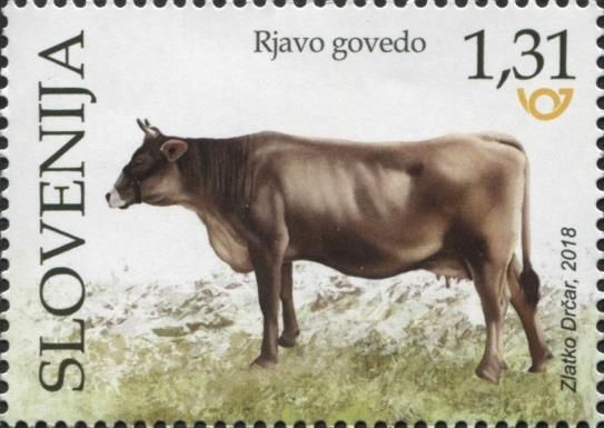 Brown Cow