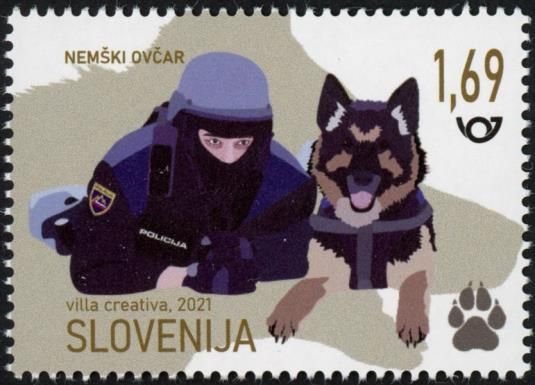 German Shepherd – working dog