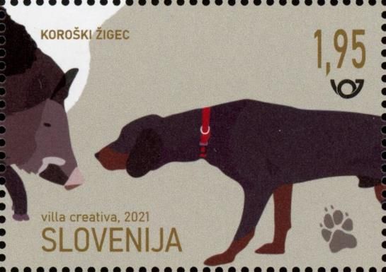 Koroski zigec – hunting dog
