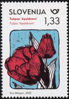 Tulipa "Apeldoorn"