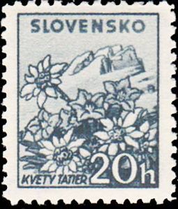 Kvety tatier
