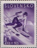 Ski