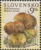 Boletus aereus
