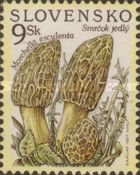 Morchella esculanta
