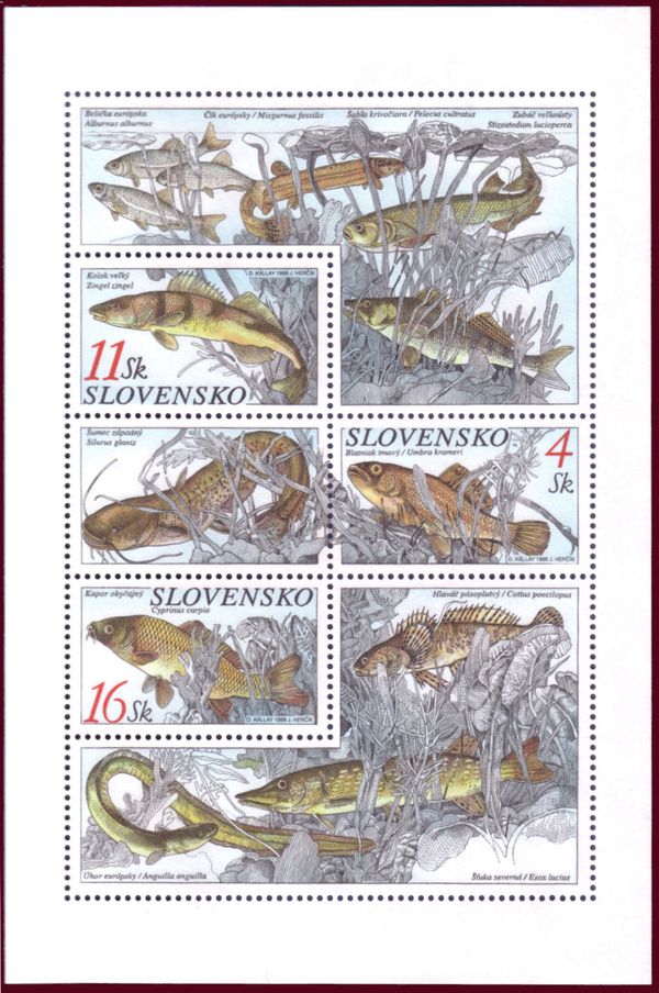 Freshwater Fish