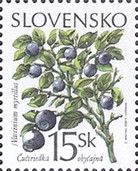 Bilberry (Vaccinium myrtillus)