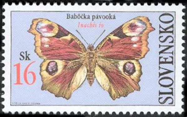 European peacock (Inachis io)