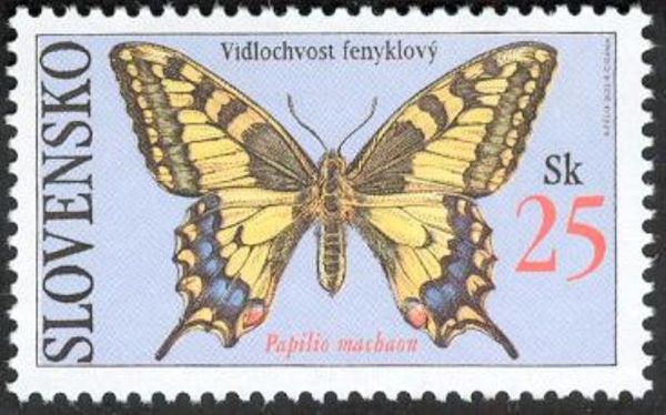 Swallowtail (Papilio machaon)