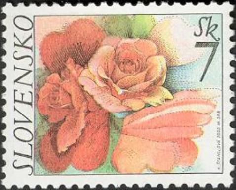 Roses