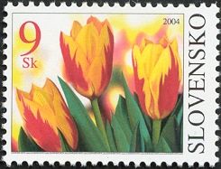 Tulips