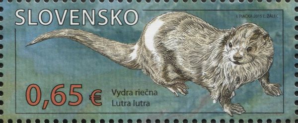 Eurasian Otter (Lutra lutra)