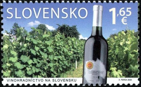 Vineyard of Slovakia