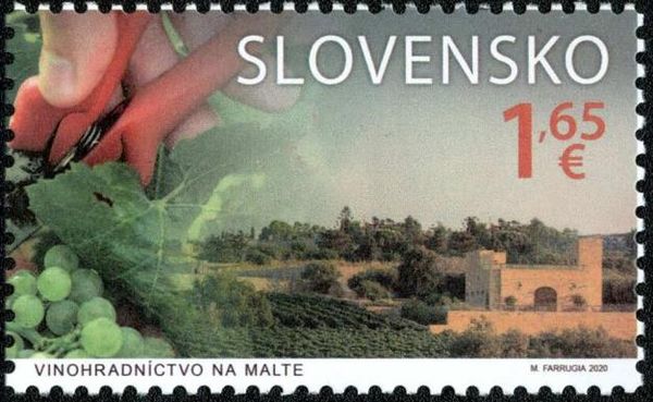 Vineyard of Malta
