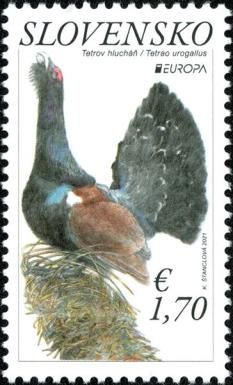 Europa (C.E.P.T.) 2021 - Capercaillie (Tetrao urogallus)
