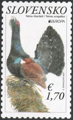 Europa (C.E.P.T.) 2021 - Capercaillie (Tetrao urogallus)