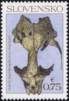 Devinophoca claytoni