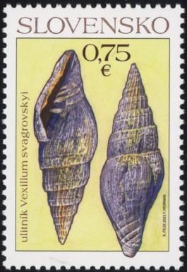 Vexillum svagrovskyi