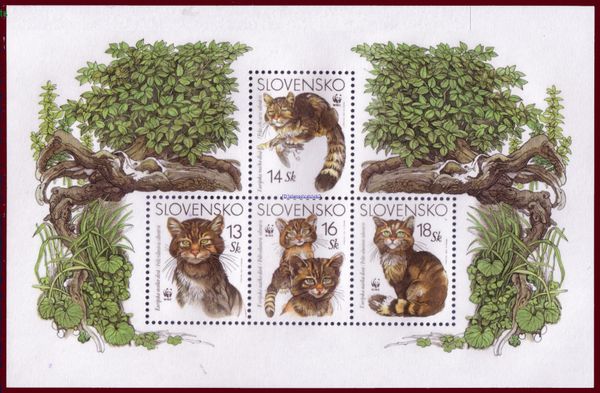 European Wild Cat (Felis sylvestris sylvestris)