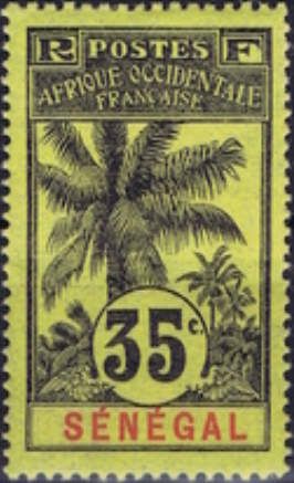 Palm Trees