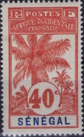 Palm Trees