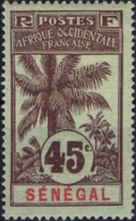 Palm Trees
