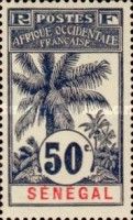 Palm Trees