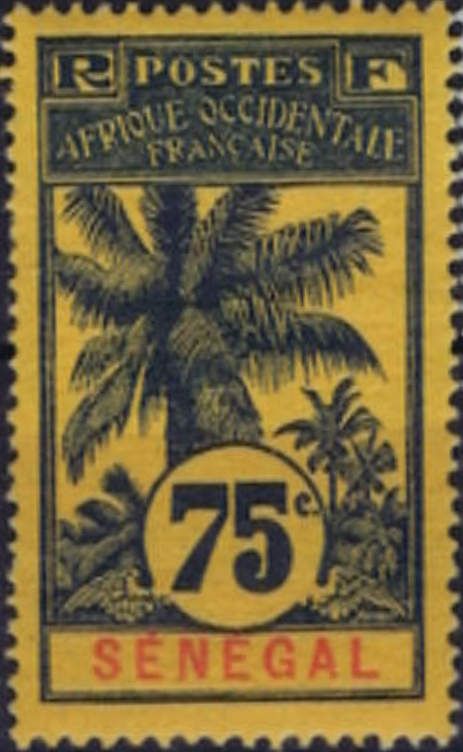 Palm Trees
