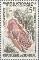 Common Warthog (Phacochoerus africanus)